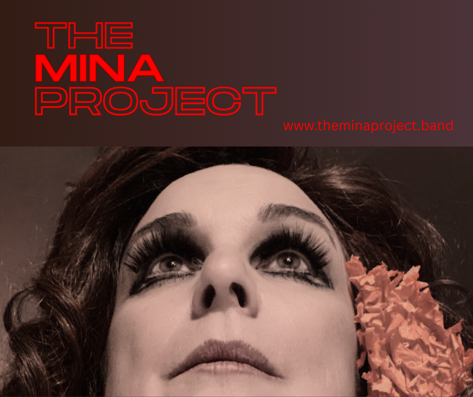 The Mina Project