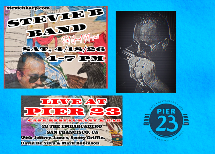 Stevie B Band