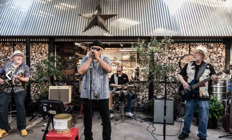 New Shoes Blues Band